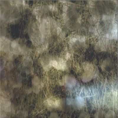 O Yuki Conjugate — Sleepwalker 2x12" vinyl cover