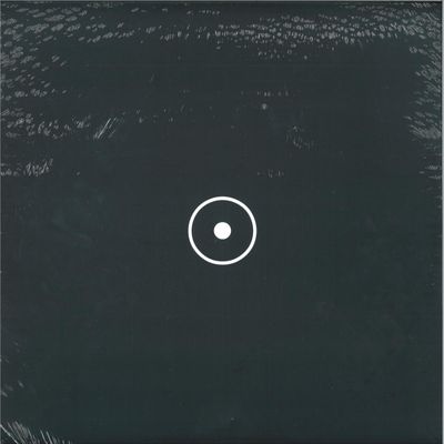 Tim Shatnyy — Beyond Dualism vinyl cover