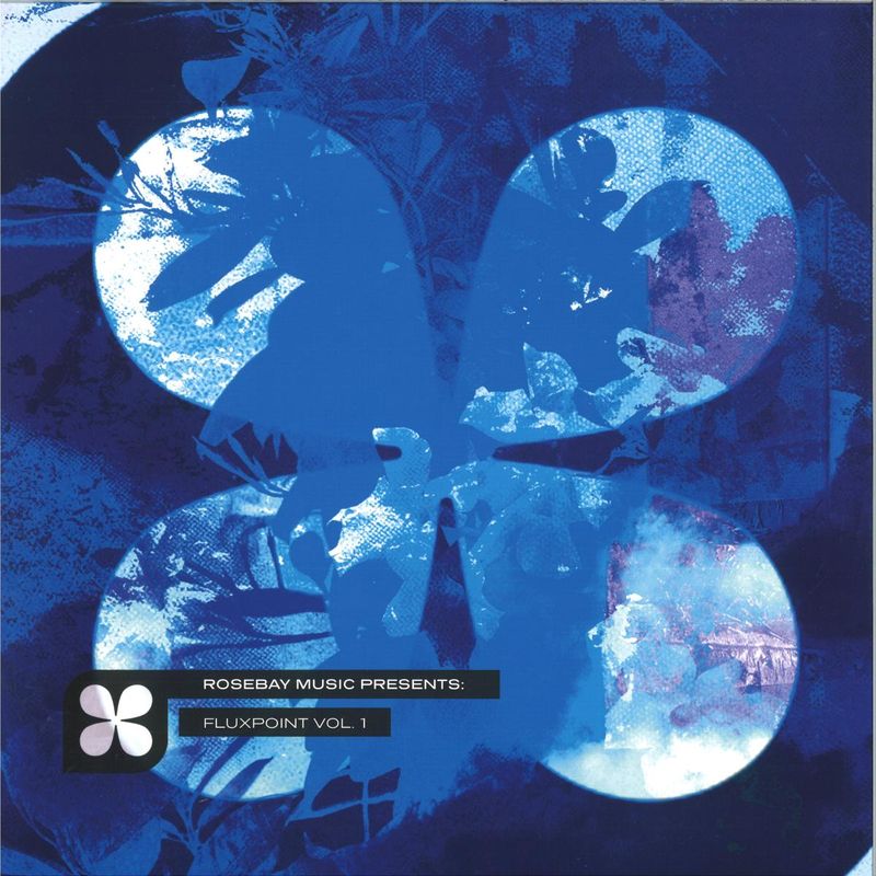Submorphics — Fluxpoint Vol 1 vinyl cover