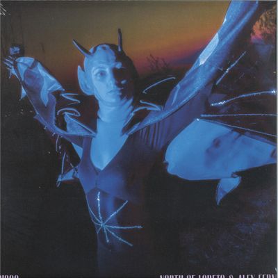 North Of Loreto, Alex Fernet — Disco / Diavolo Blu vinyl cover