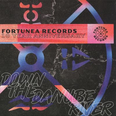 Various — Down The Danube River LP 2x12" vinyl cover