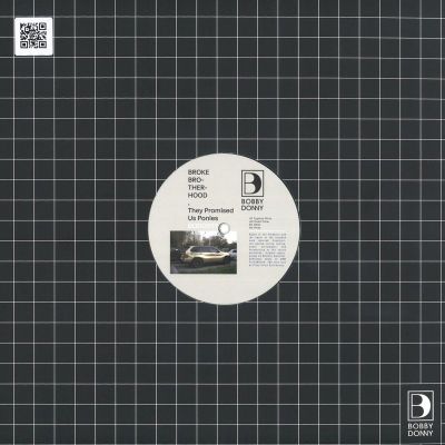 Broke Brotherhood — They Promised Us Ponies vinyl cover