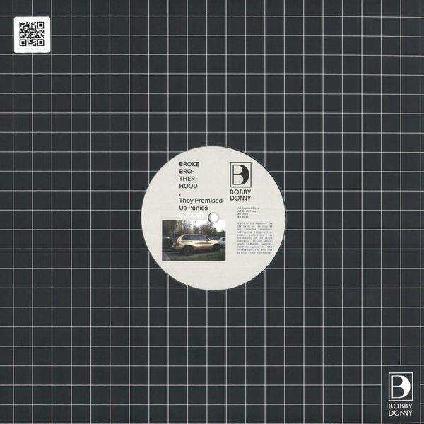 Broke Brotherhood — They Promised Us Ponies vinyl cover