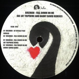 Brizman — Fall Down On Me vinyl cover