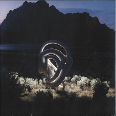 Entrañas — Los Cueros Al Sol LP vinyl cover