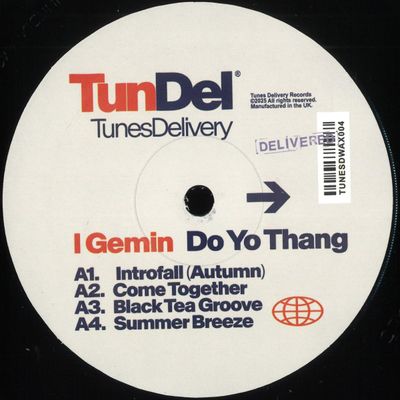 I Gemin — Do Yo Thang vinyl cover