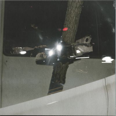 Sleepdial — RV Lights LP vinyl cover