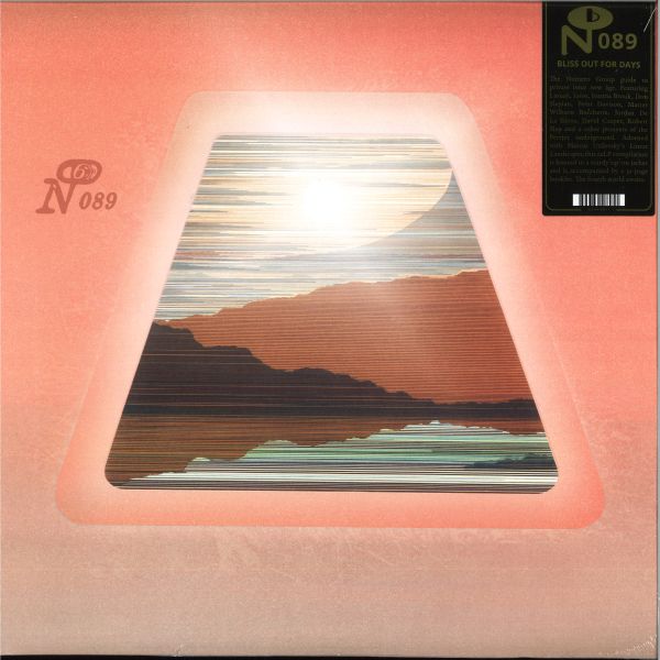 Various — BLISS OUT: FOR DAYS LP 2x12" vinyl cover
