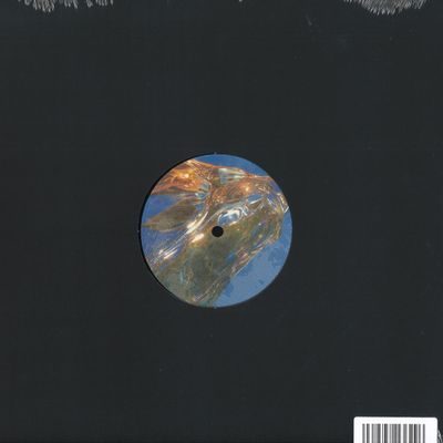 Holo — pß0 vinyl cover