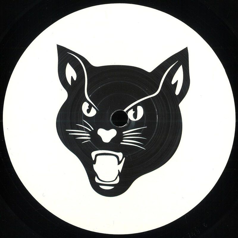 Will Long — Within a Zoo Hypothesis vinyl cover