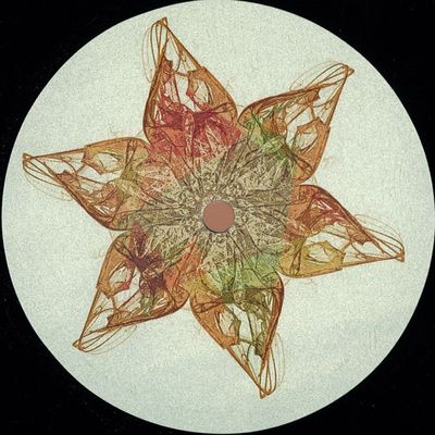 Wallflower — Manifest vinyl cover