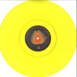 Plant43 — Concrete Echo vinyl cover