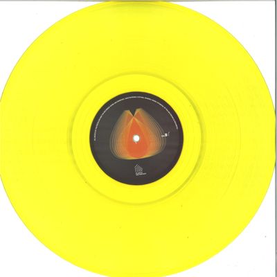 Plant43 — Concrete Echo vinyl cover