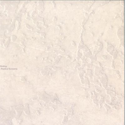 Ultrafog — A Replica Screams vinyl cover