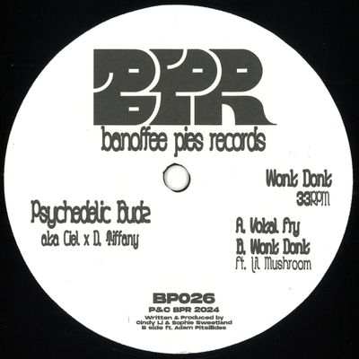 Psychedelic Budz, Ciel X D. Tiffany — Wonk Donk vinyl cover