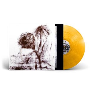 William Basinski — Passing the Cup of Sorrows LP vinyl cover