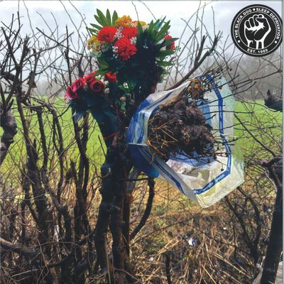 The Black Dog — Sleep Deprivation LP 2x12" vinyl cover