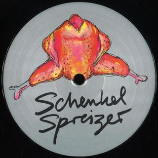 Unknown Artists — Schenkelspreizer Vol. 10 vinyl cover
