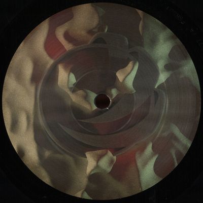 Polygonia, Mtrl — Division / Taris vinyl cover