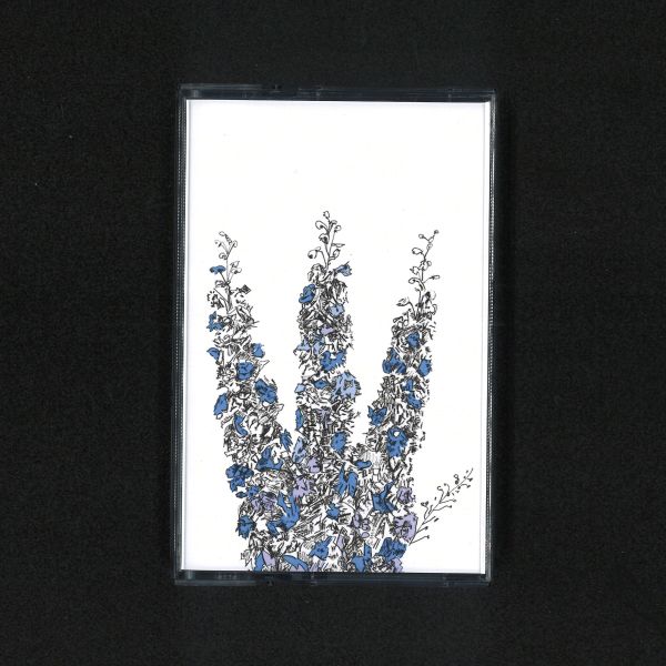 Davis Galvin — Prism (Delphinium Elatum) vinyl cover