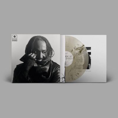 Thundercat — Distracted LP vinyl cover