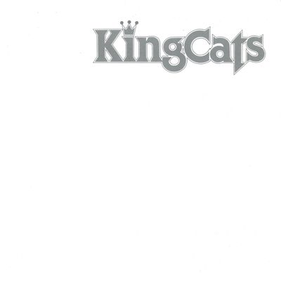 Kingcats — KINGCATS LP vinyl cover
