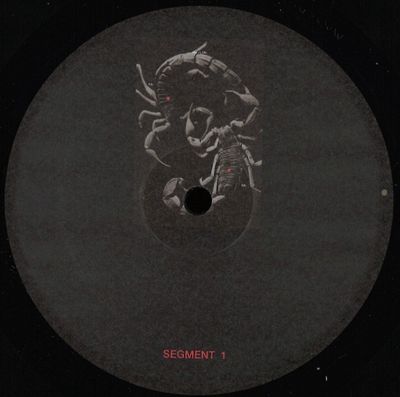 Developer — Sangre Por Oro LP Part A vinyl cover