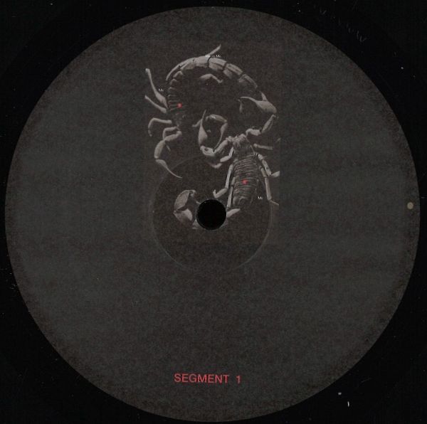Developer — Sangre Por Oro LP Part A vinyl cover