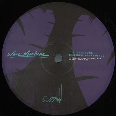 Jordan Strong — This Must Be The Place vinyl cover