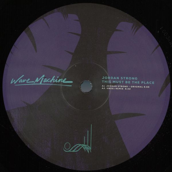 Jordan Strong — This Must Be The Place vinyl cover