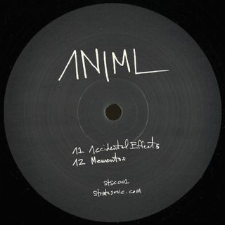 Animl — Accidental Effects vinyl cover