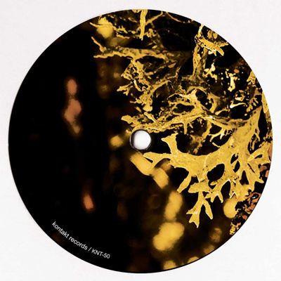 Van Bonn, Luigi Tozzi — Detached Trails vinyl cover
