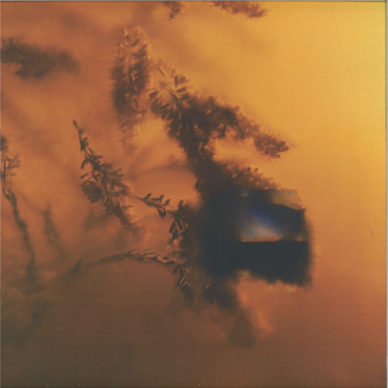 Ulla, Ultrafog — it means a lot LP vinyl cover