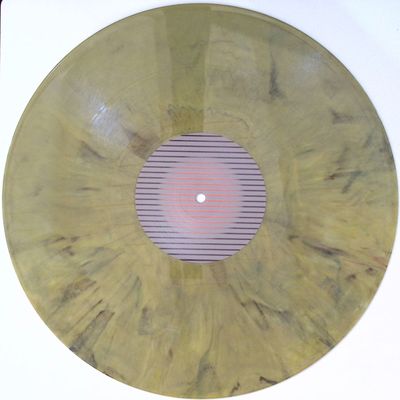 Ackermann, Vinicius Honorio — Count the dead and wait for morning vinyl cover
