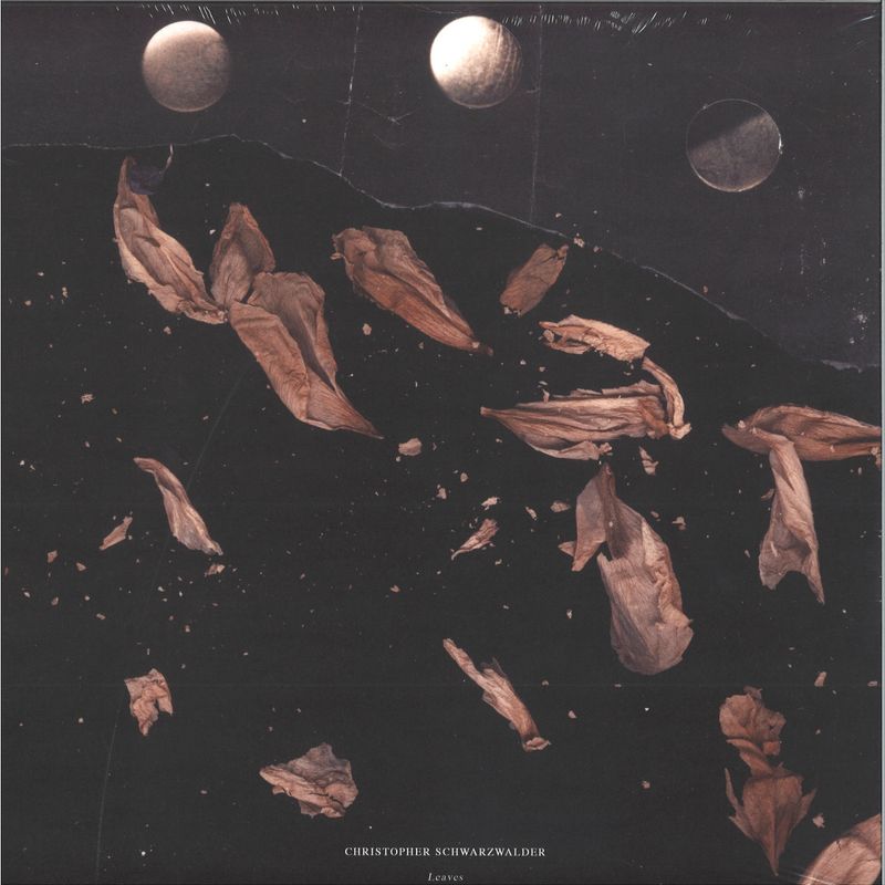 Christopher Schwarzwalder — Leaves vinyl cover