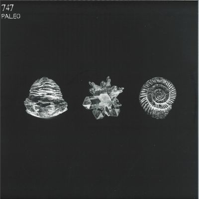 747 — Paleo 2x12" vinyl cover