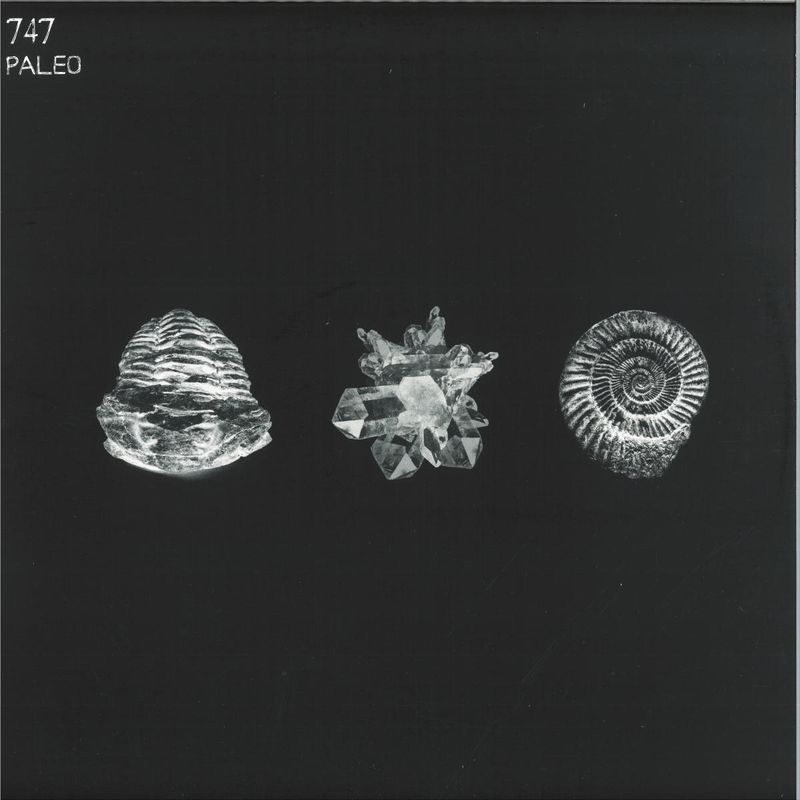 747 — Paleo 2x12" vinyl cover