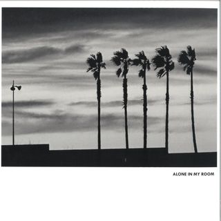 Alone IN MY Room — II LP vinyl cover