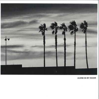 Alone IN MY Room — II LP vinyl cover