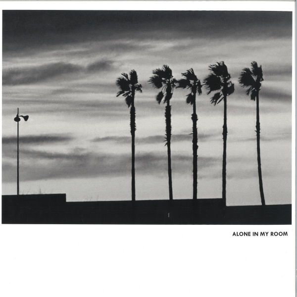Alone IN MY Room — II LP vinyl cover