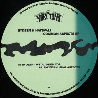 Rydeen, Hatsvali — Common Aspects EP vinyl cover