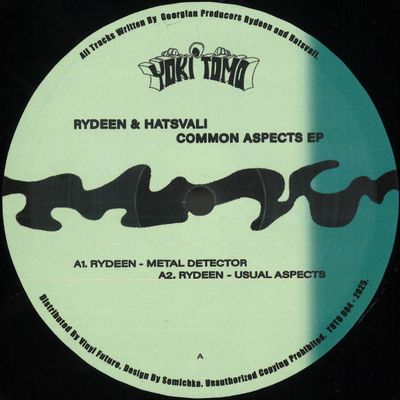 Rydeen, Hatsvali — Common Aspects EP vinyl cover