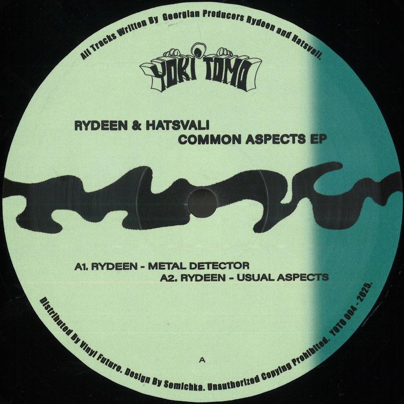 Rydeen, Hatsvali — Common Aspects EP vinyl cover
