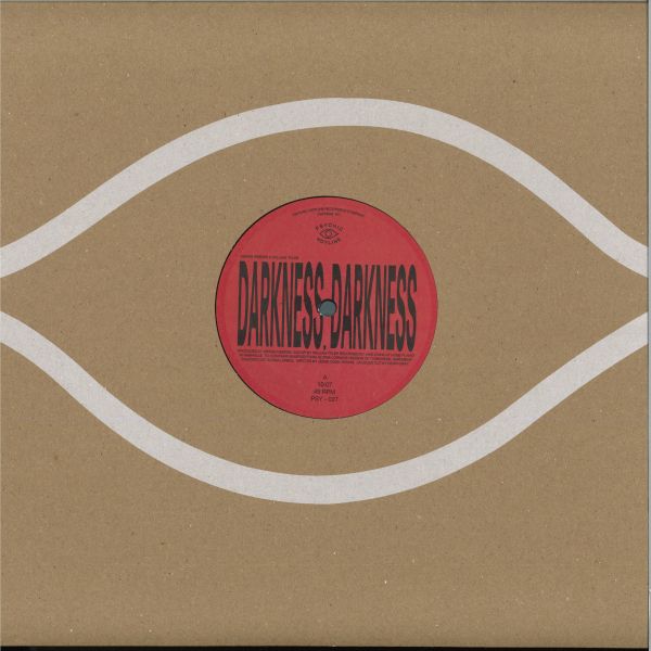 Kieran Hebden, William Tyler — Darkness Darkness / No Services vinyl cover