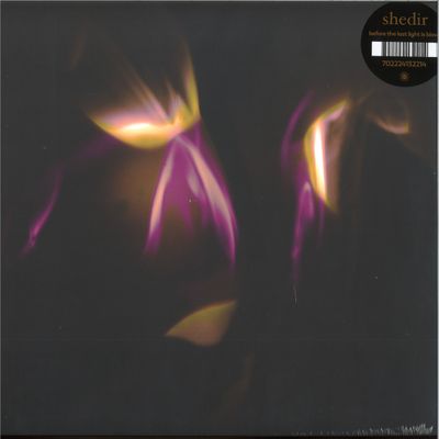 Shedir — Before The Last Light Is Blown LP vinyl cover
