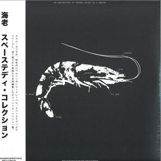Ebi — Space Teddy Collection 2x12" vinyl cover