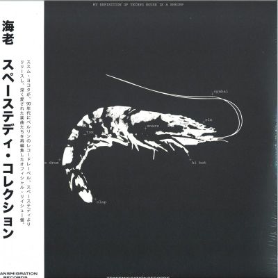Ebi — Space Teddy Collection 2x12" vinyl cover