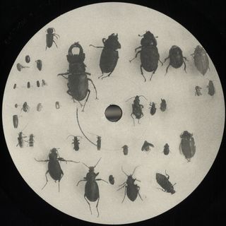 Lewis Fautzi — You Can't Step On the Same Risk Twice EP vinyl cover