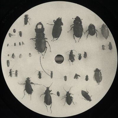 Lewis Fautzi — You Can't Step On the Same Risk Twice EP vinyl cover