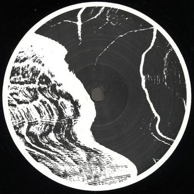Staim — Beginning vinyl cover